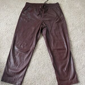 Loft Faux Leather Drawstring Pants L
